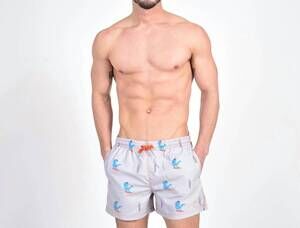 NEW EIGHT X surfing t-rex print swim trunks in grey